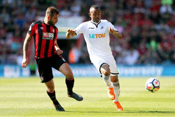 也为中国网 也为中国网