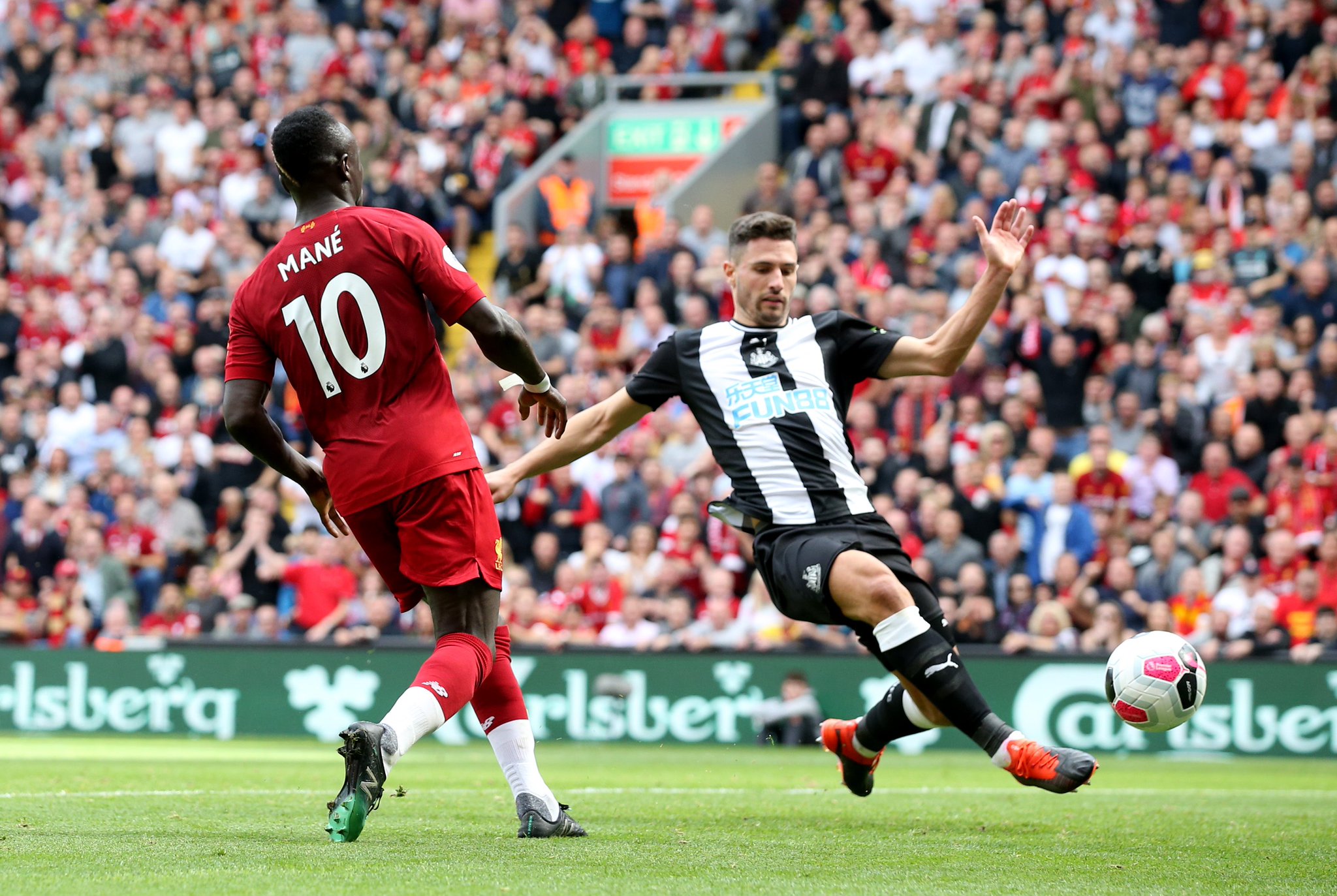 他们已然提 他们已然提